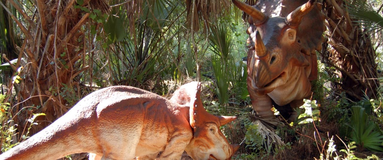 El zoológico de Fresno.
