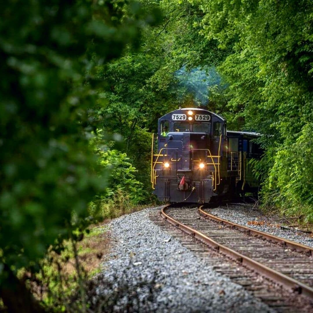 Uno de los ferrocarriles turísticos más populares en Georgia es el 
<b><a href="https://brscenic.com/" target="_blank">Blue Ridge Scenic Railway (BRSR)</a></b>, una atracción operada de forma independiente que actúa como una división de Georgia Northeastern, un exitoso transportista de carga de línea corta. 
<br>
<br>
<b><a href="https://goo.gl/maps/eBpL24NpyoeqKPhB6">Cómo llegar</a></b>