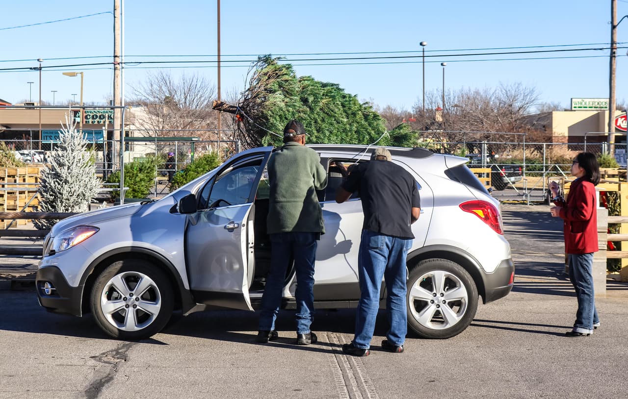 <b>Toma en cuenta el tamaño de tu vehículo a la hora de escoger el árbol.</b> Un árbol de Navidad promedio mide 6 pies, es decir, puede ser acomodado sobre cualquier SUV. Sin embargo, la tarea se torna complicada si lo que conduces es un sedán o hatchback. La pauta general es sencilla, si el árbol obstaculiza tu visión, aunque sea un poco, entonces necesitas transportarlo en otro vehículo.