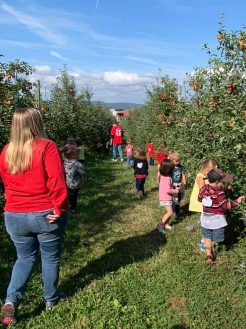 <b>Pasa un día de campo en paulus mount airy orchard:</b> Si estás buscando un poco de diversión familiar este octubre en el área de Harrisburg, Paulus Mount Airy Orchard en Dillsburg es un lugar divertido para visitar. Además de cosas como recoger manzanas y calabazas, la gran actividad aquí es su PlayLand. Esta área cuenta con muchas actividades divertidas y únicas que incluyen un laberinto de maíz, un tren de vacas, una almohada gigante para saltar y mucho más.
<br>