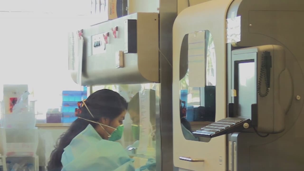 Arizona intenta reducir la exposición al covid-19 durante las primarias demócratas con el voto anticipado