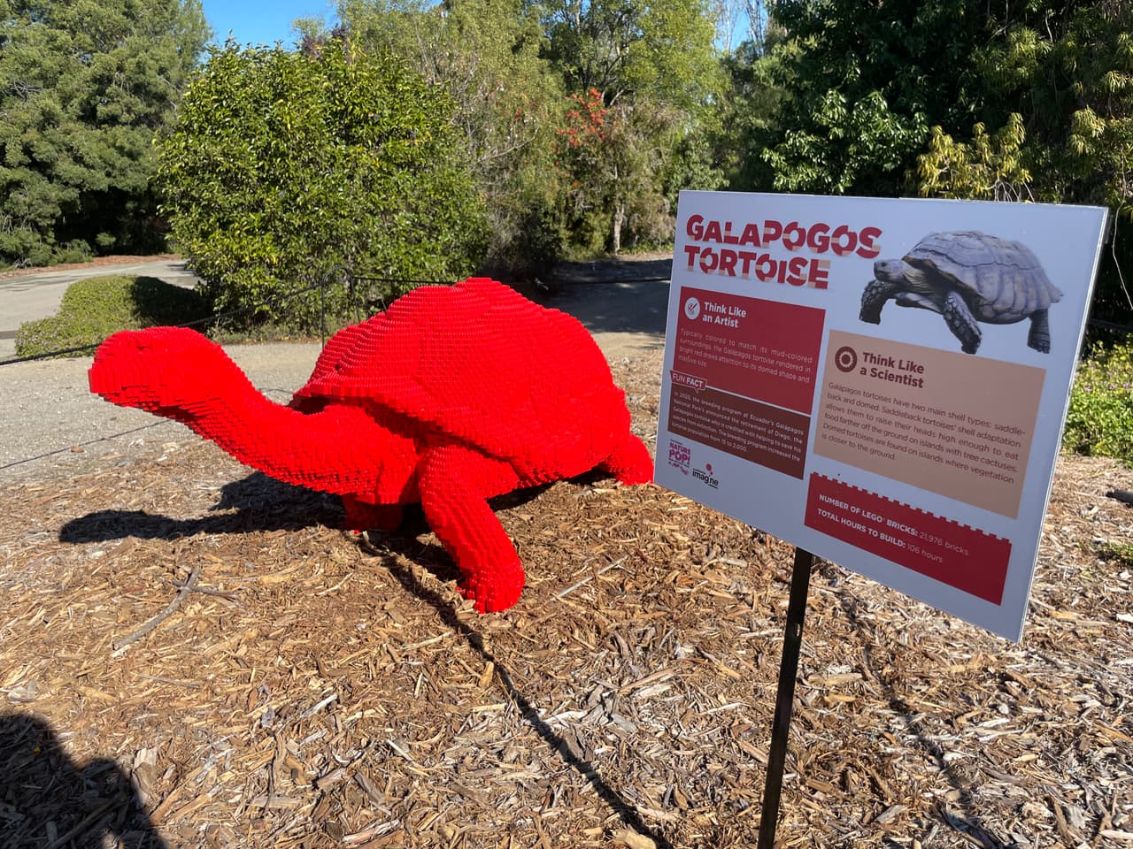 La tortuga gigante de Galápagos usualmente tiene un color que refleja la tierray el barro. En este caso el creador quiso hacer lo opuesto, seleccionando uno de los colores más vibrantes y llamativos. 
<br>
<b>Número de piezas de LEGO: 21,976</b>
<br>
<b>Horas de construcción: 106</b>