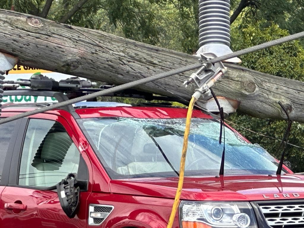 A bordo de los automóviles estaban 33 adultos y 14 niños, según la autoridad.