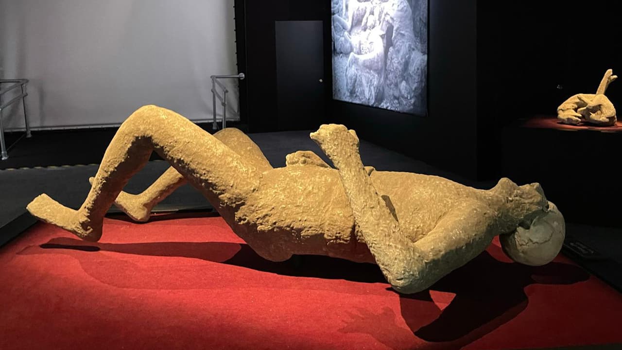 Puedes llamar al 
<b>713-639-4629</b> para consultar sobre los mejores días para visitar el museo.