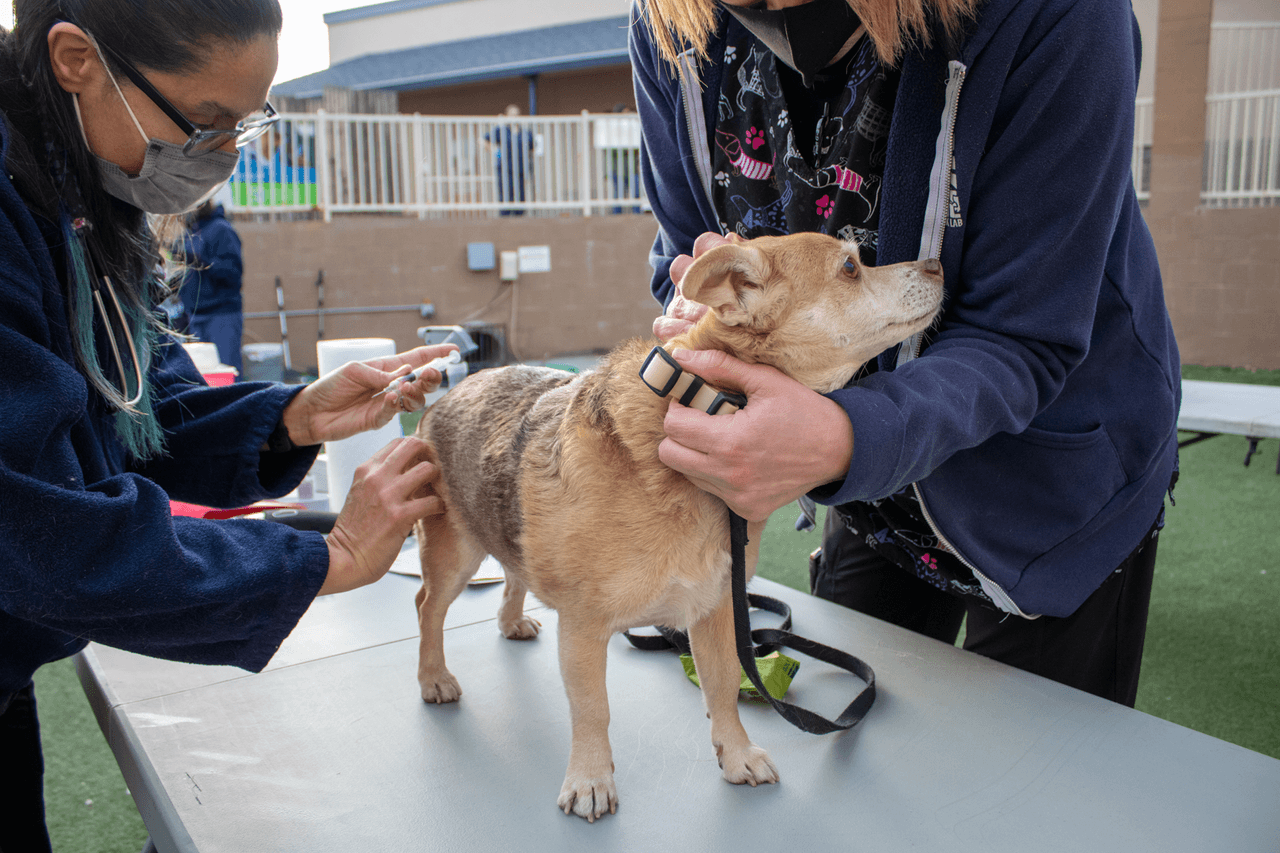 Clínica de vacunas.
