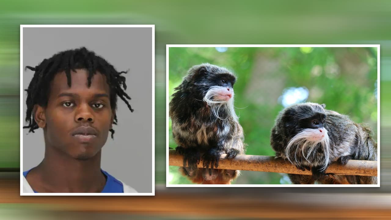 No es el Dr. Dolittle: Davion Irving enfrenta múltiples cargos por liberar y robar animales del zoo de Dallas
