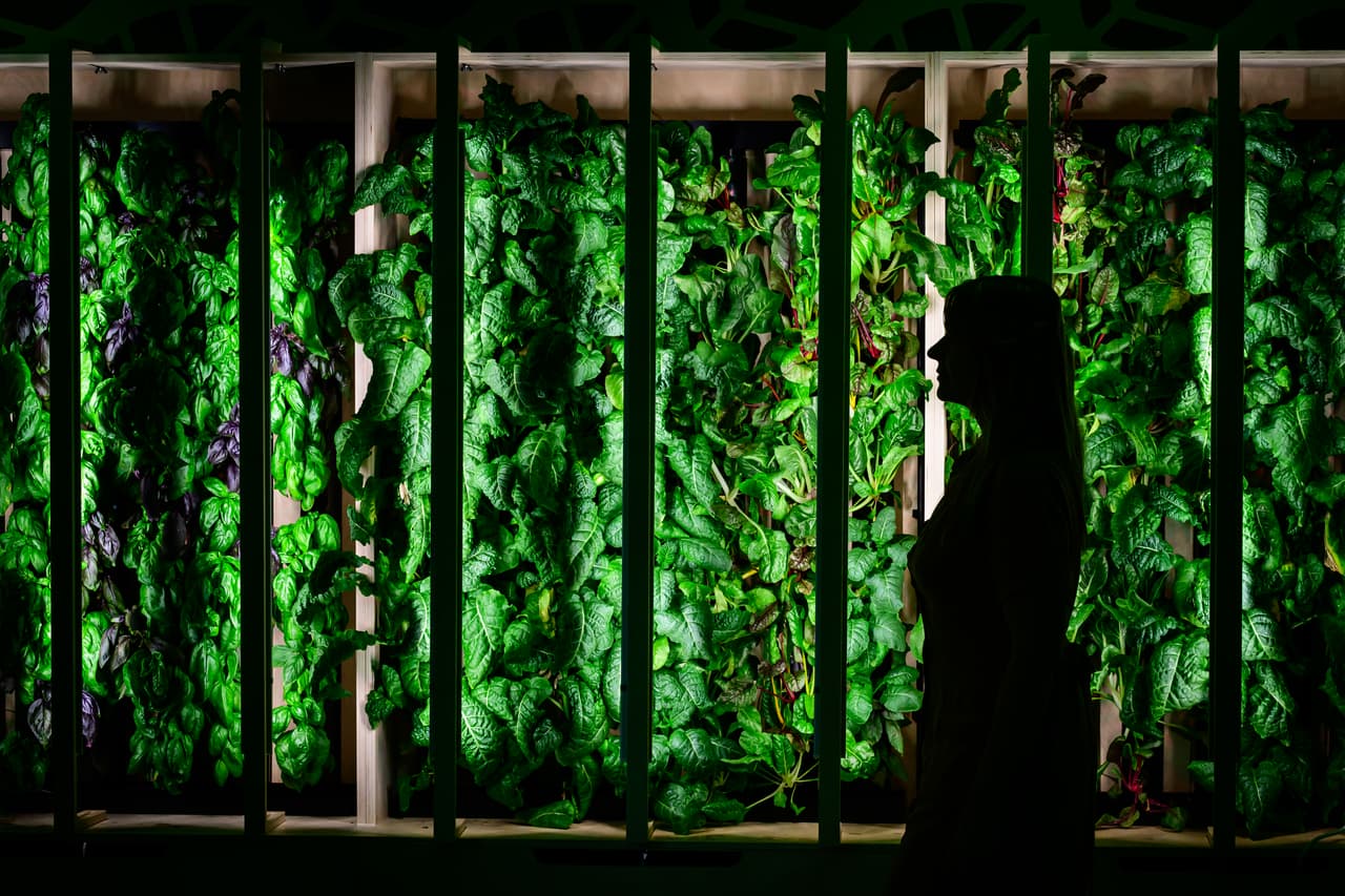 Tu lugar favorito es cualquier lugar donde vendan plantas.