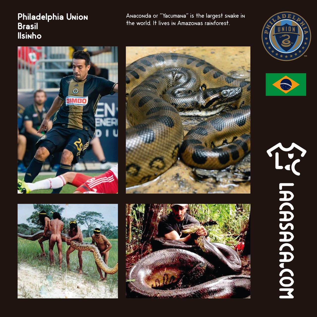 PHILADELPHIA UNION | Además que el escudo y la camiseta actual del club están inspirados en una serpiente, LaCasaca.com quiso mezclar el fútbol de Ilsinho con la anaconda que se puede observar en el Amazonas brasileño.