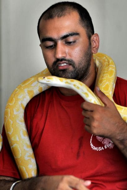 También queremos saber tu opinión sobre la cacería de serpientes en los Everglades.