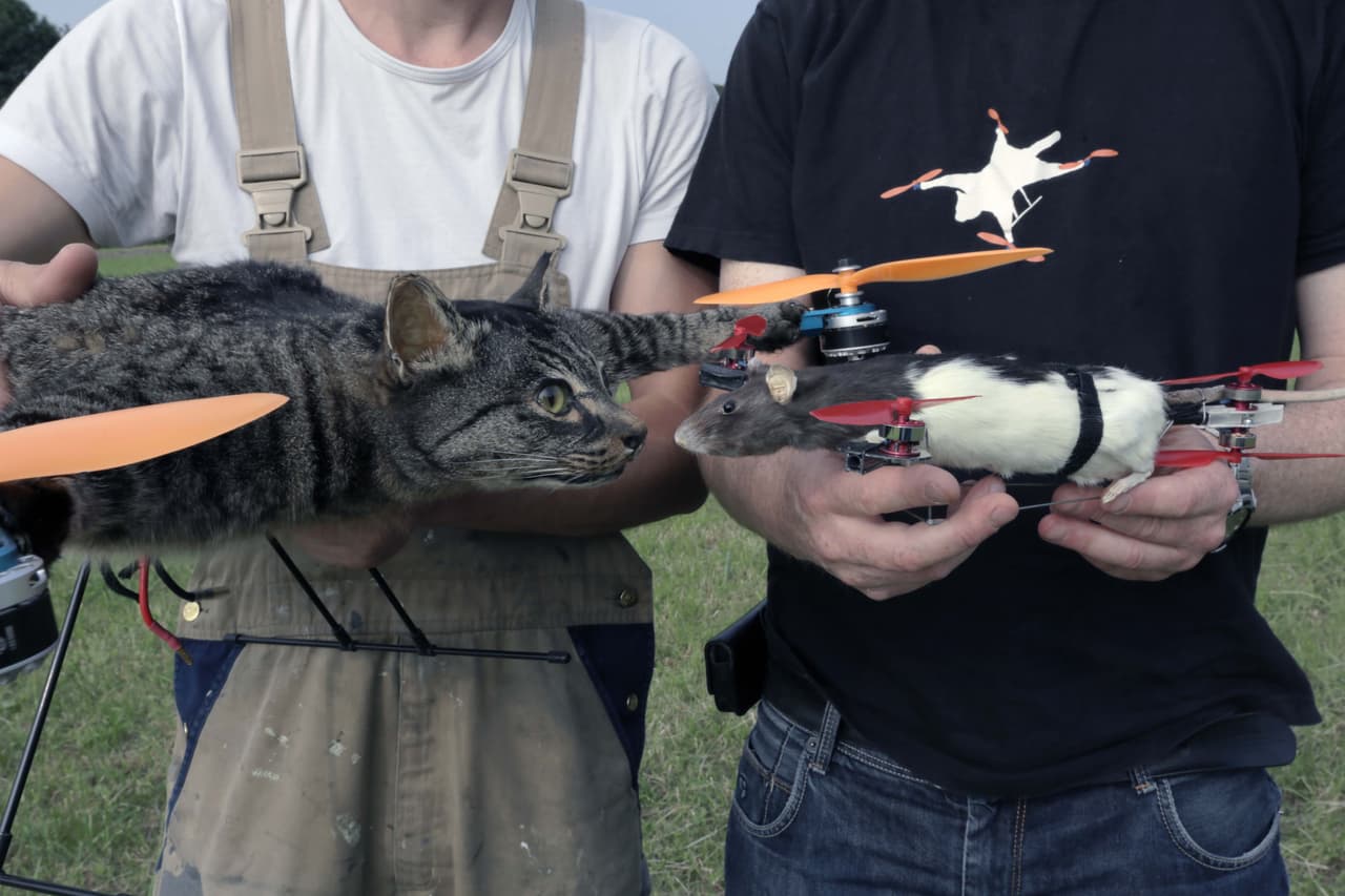 Bart Jansen, el artista que convierte los cadáveres de animales en drones  