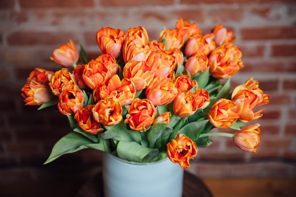 Lo mejor que puedes hacer para atraer la abundancia a tu vida es tener en tu casa plantas de color café o marrón, inclusive los adornos florales con hojas otoñales. Cortinas beige e inclusive en el baño el empleo de ese color contribuye a crear el clima perfecto. Prepara también hermosas combinaciones de plantas con espigas que es tu símbolo, y no en vano lo es ya que todo está relacionado entre si y la representación de tu signo es un elemento ideal para atraer dinero y abundancia a tu vida.