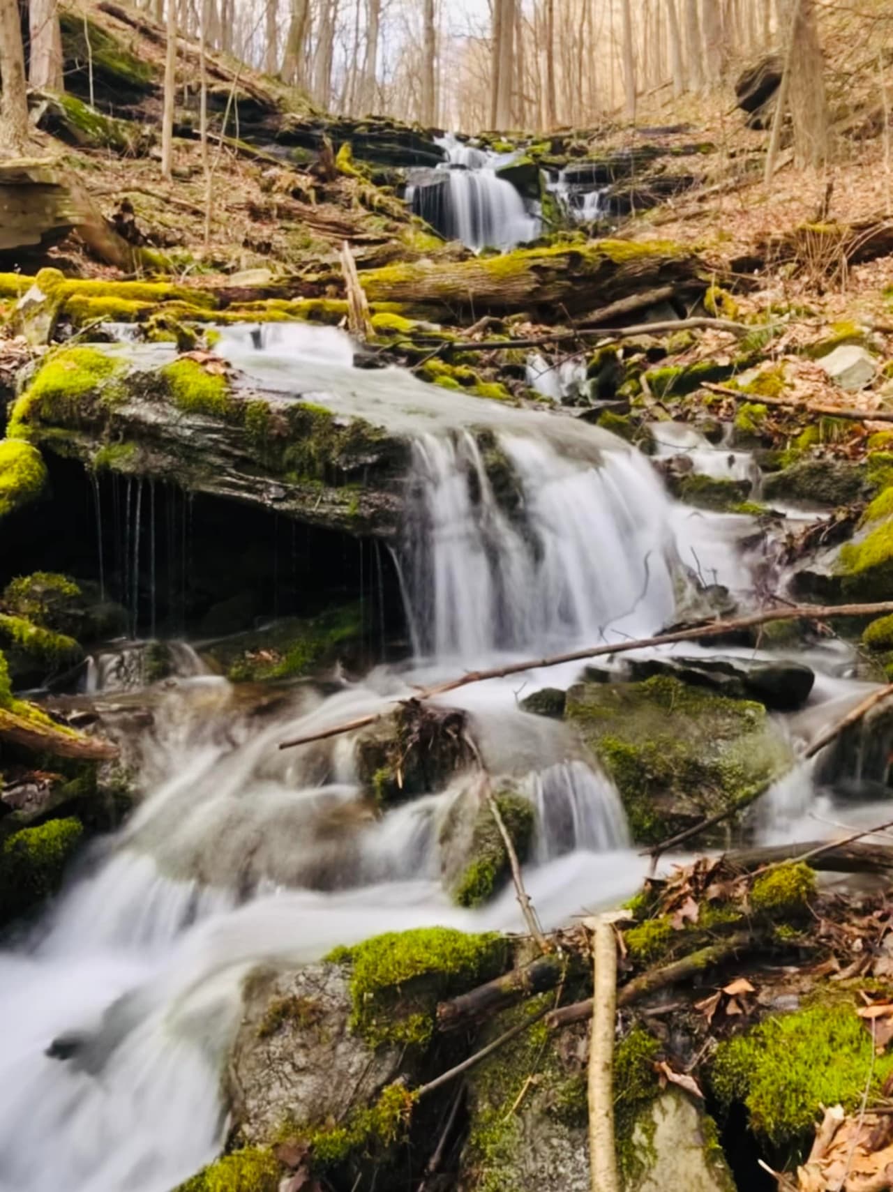 <b><a href="https://www.dcnr.pa.gov/StateParks/FindAPark/BlueKnobStatePark/Pages/default.aspx">Blue Knob State Park</a></b>: El parque está convenientemente ubicado a 25 millas de Altoona, Johnstown y Bedford. Una de las características únicas del parque es la soledad que brinda al visitante, con muchas oportunidades para disfrutar de la serenidad refrescante de las montañas y arroyos. La elevación del parque puede hacer que la temperatura del aire sea varios grados más fría, lo que lo hace perfecto para las noches alrededor de una fogata.