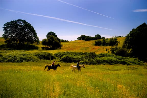 <b>Auburn State Recreation Area, </b>45 millas al noreste de Sacramento. 
<br>Reconocido por su belleza natural, el área cuenta con caminos de senderismo, para hacer ciclismo en la montaña, y actividades en el río Americano.
