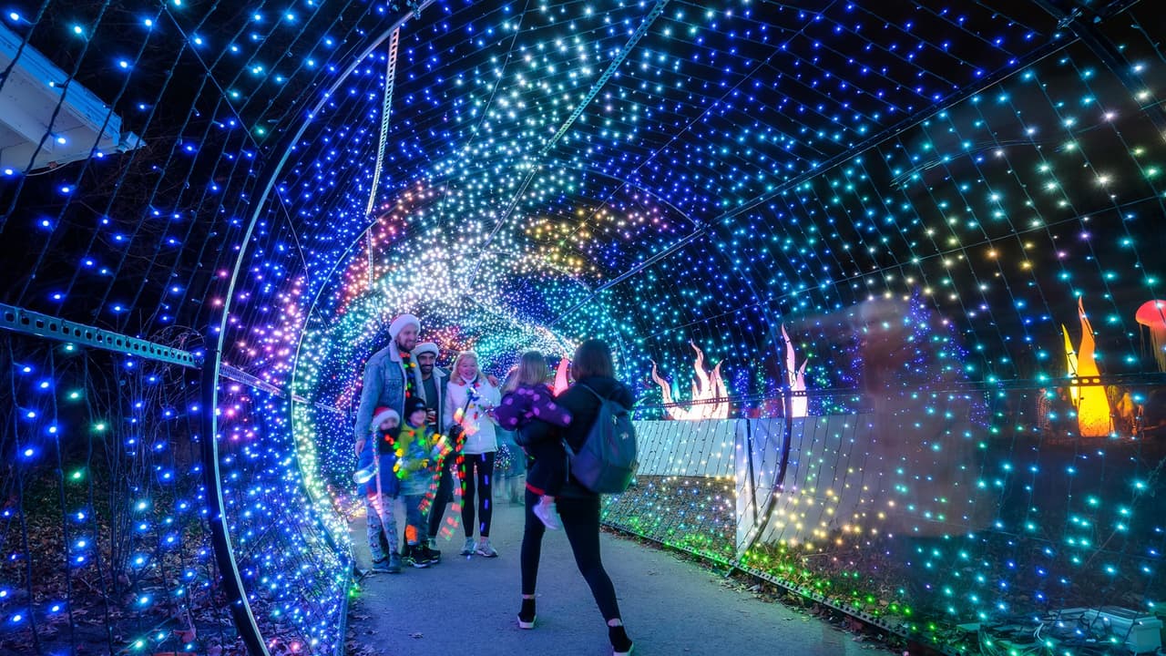 <b><a href="https://philadelphiazoo.org/luminature/">LumiNature at the Philadelphia Zoo (Hasta el 7 de enero)</a></b>. Esta pantalla inmersiva transforma el paisaje diurno del Zoológico de Filadelfia en un espectáculo multimedia nocturno. Después de que los animales están escondidos por la noche, el zoológico se ilumina con más de 1 millón de luces navideñas en 14 zonas distintas.