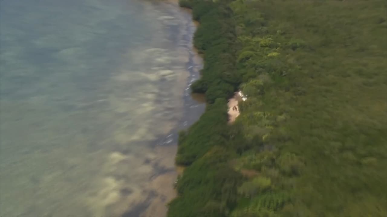 Un grupo de 24 balseros, entre los cuales se incluía un niño, llegó a uno de los cayos cerca de Florida. Todos fueron rescatados, y se espera que permanezcan en el país, dado que el cayo es territorio del EEUU.