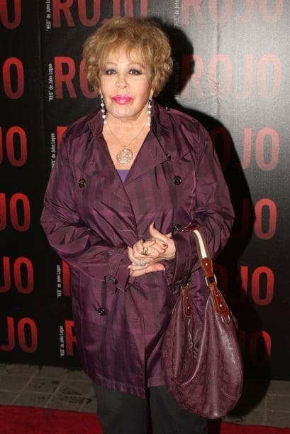 <b><a href="http://www.univision.com/temas/silvia-pinal">Silvia Pinal</a></b> nunca dejó su carrera artística y siempre se ha dado tiempo para sus distintas actividades.