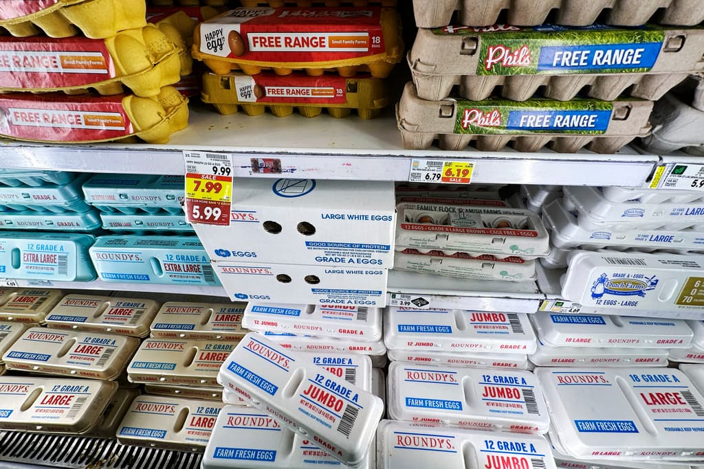 Hace cinco meses, 
<b><a href="https://www.univision.com/local/chicago-wgbo/consumidores-reportan-alza-precio-huevo-chicago-a-que-se-debe" target="_blank">en Chicago</a></b> se podían comprar 18 huevos por casi 6 dólares.