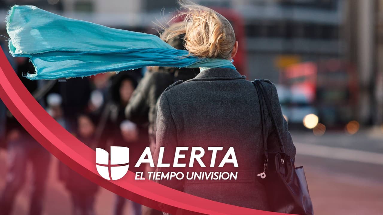 Alerta por fuertes vientos en Los Ángeles