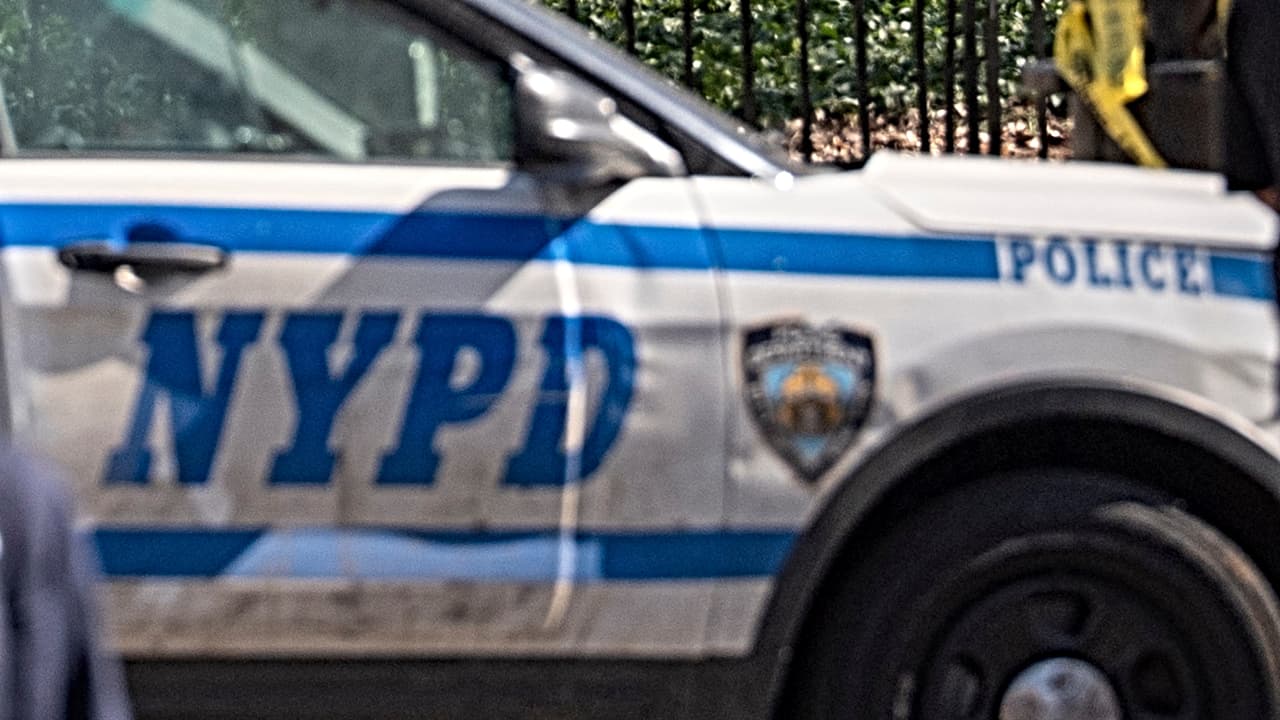 Acusan a mujer de asesinar a su hijo autista que celebraba su cumpleaños 25 en Queens