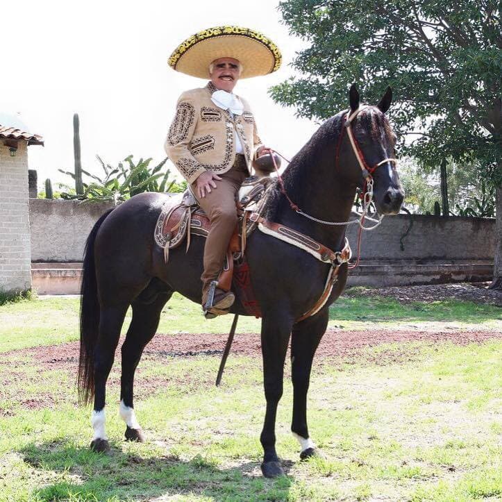 Este estilo de vida le ha ayudado a mejorar su estado de salud, así lo confesó esta semana en una 
<b><a href="https://www.youtube.com/watch?v=gh4h0ghD2yU" target="_blank">entrevista para el programa 'De primera mano'. </a></b>