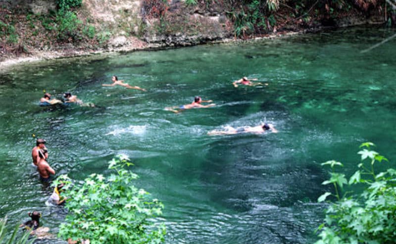 Blue Springs State Park, St. Johns River, Fl.