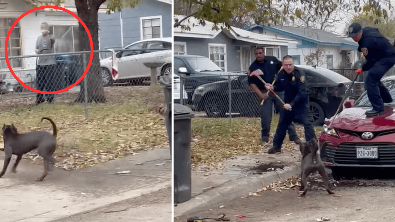 <b>Michael Ramírez</b>, nieto de la mujer a quien visitaban los Nájera en el vecindario del oeste de la ciudad, intentó rescatar a Ramón cuando ocurrió el ataque. “Llamé al 911, obviamente, pero no quería solamente ver al hombre morir frente a mis ojos”, describe Michael a Univision 41.