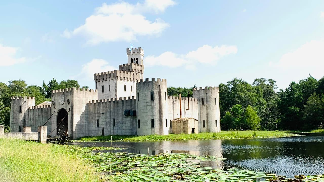 Visitar un castillo al estilo medieval es posible en Texas gracias a
<a href="https://newmanscastle.com/castle/" target="_blank">Newman’s Castle</a>.