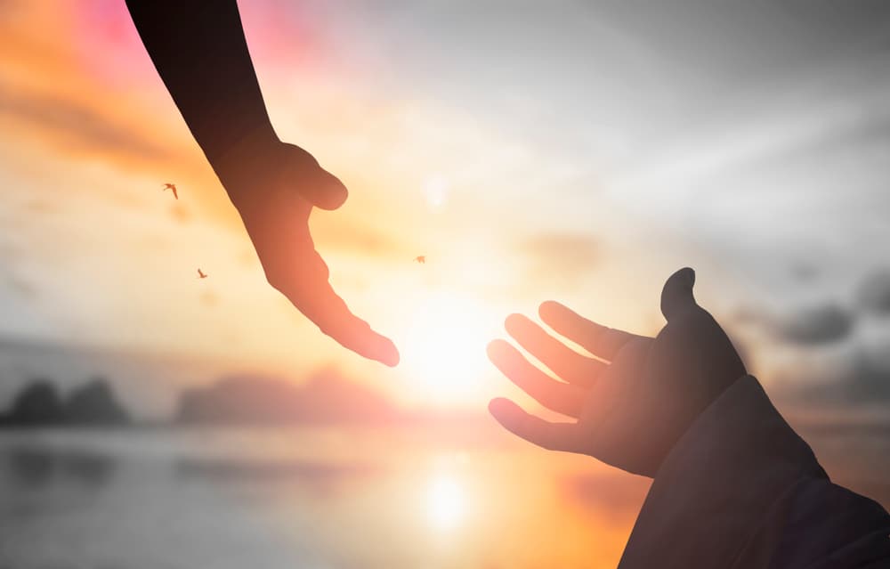 La persona que estaba indecisa desde el punto de vista sentimental ahora se aclara. Estarás comprendiendo mejor lo que debes hacer en una situación familiar o de amistad. Eres muy empático y quieres ayudar a todos, pero recuerda, no trates de cambiar a los demás si ellos no lo quieren hacer desde dentro. Toma a las personas como son, y no te veas envuelto en situaciones.