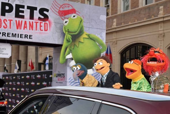 Los famosos títeres llegaron al Capital Theatre durante la premier de su más reciente película y sus fieles fanáticos se apoderaron del boulevard de las estrellas en Hollywood. Muppets Most Wanted es una comedia musical escrita por Bobin y Nicholas Stoller y continúa la saga de 2011 ‘The Muppets’. Esta vez, la rana Kermit y sus amigos se verán envueltos involuntariamente en un crimen internacional, mientras se encontraban de gira por Europa.