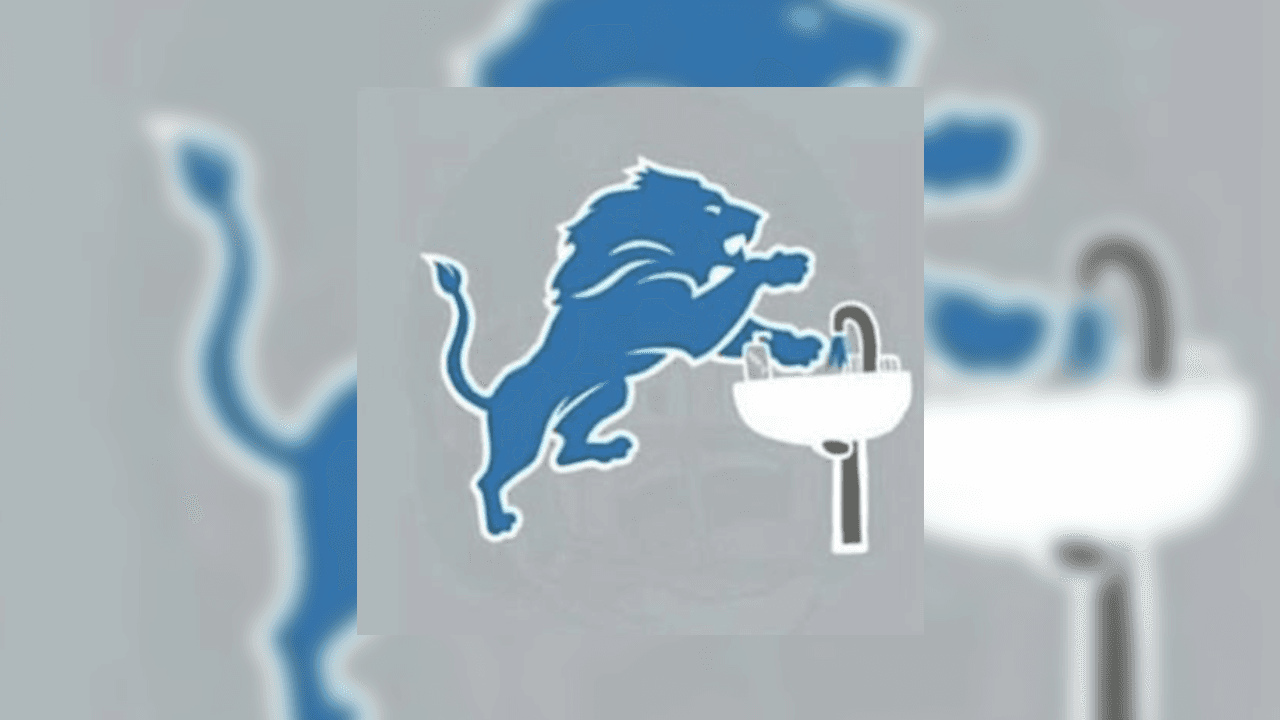 <b>Detroit Lions</b>
