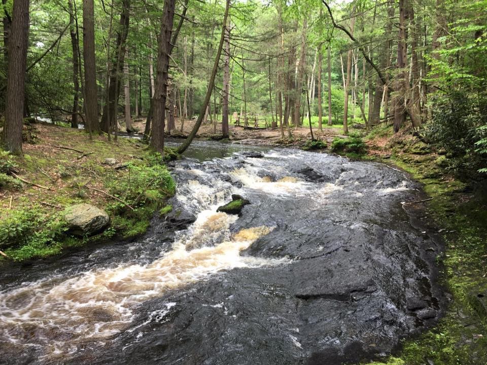 Senderos y puentes atraviesan la zona, ofreciendo espléndidas vistas.Los excursionistas de la naturaleza están entusiasmados con la caminata hasta Bridal Veil Falls. Aquí seguirá un bonito sendero junto al arroyo Pond Run.