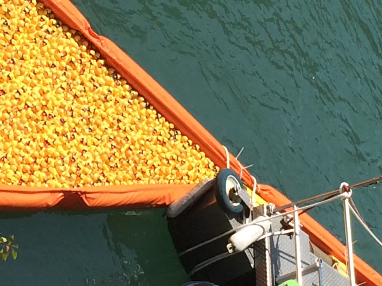 Esta carrera que estaba celebrando su undécimo aniversario se realizó en las inmediaciones de la Michigan Avenue a la altura de la Columbus Drive. 
<br>