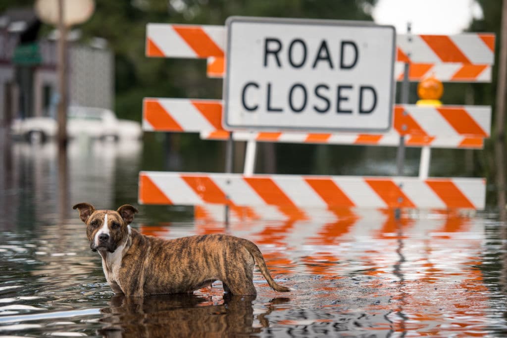 Debido a esto, "vamos a ver temblores, inundaciones, heladas" por todo el territorio norte.