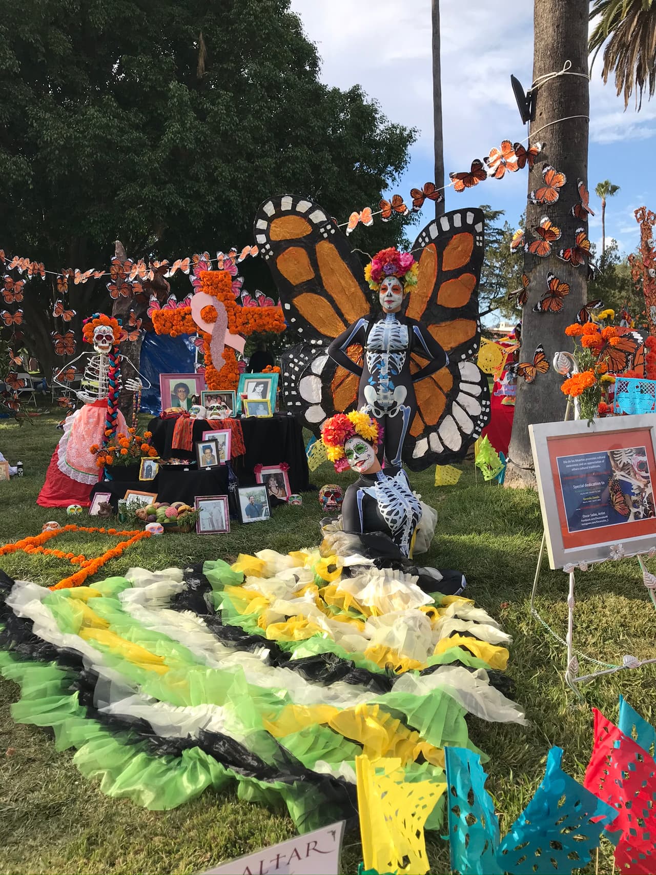 Es un recorrido de 2,600 millas (unos 4,200 kilómetros). Es una travesía increíble, si se considera que lo hace un fino y delicado insecto.