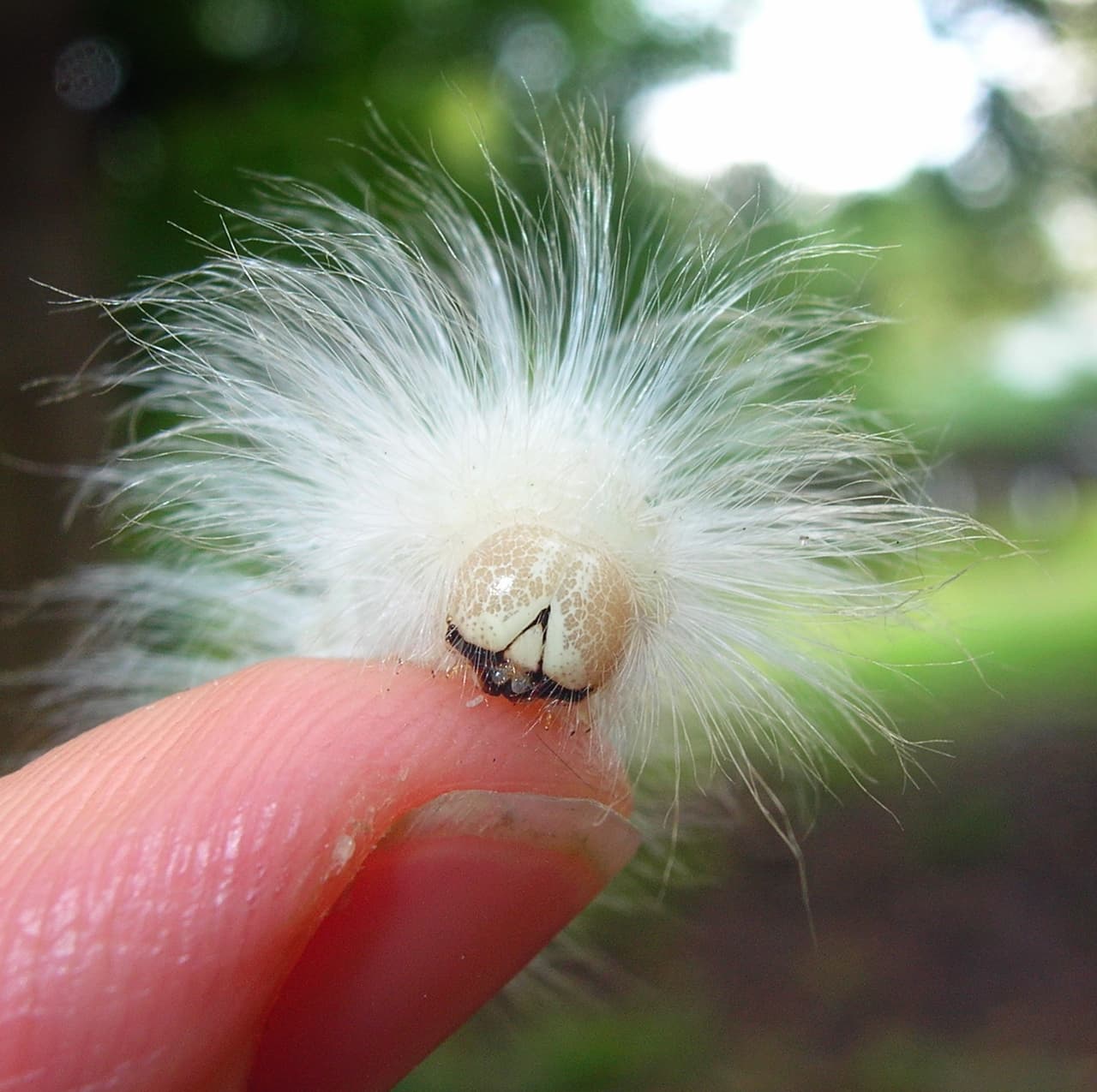 Hasta los más pequeños sufren cuando el aire quiere acabar con el peinado. ¡Ups!