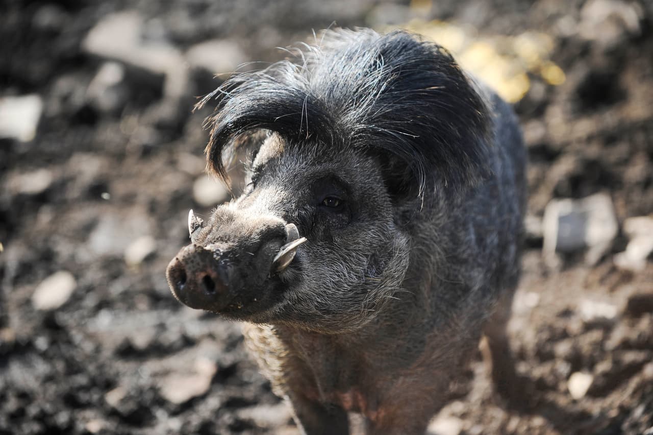 Hay flecos que simplemente merecen un premio por tanto tiempo de elaboración.