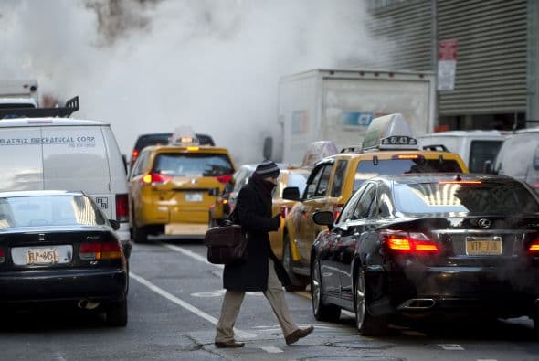La mayoría de la costa este ha experimentado estas temperaturas y el Servicio Nacional de Meteorología ha emitido alertas de heladas hasta zonas del norte de Florida.