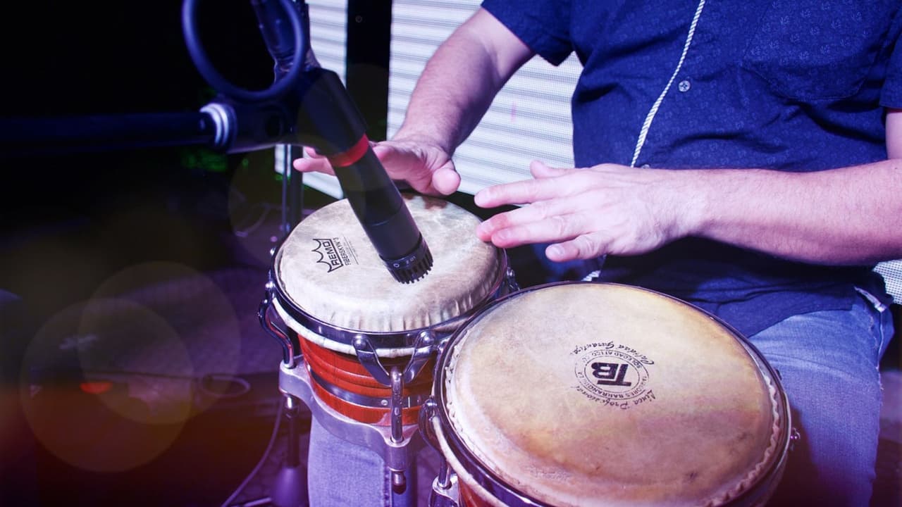 Nueva York celebra su legado musical con la apertura del Museo Internacional de la Salsa en el Bronx