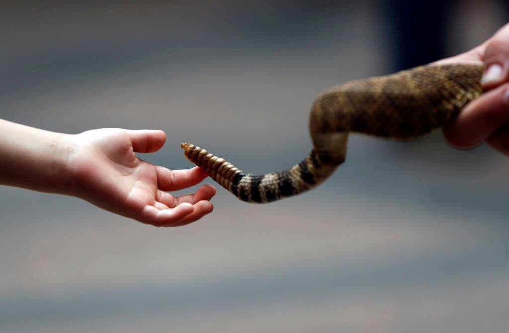 El hombre fue atendido por el Departamento de Bomberos del condado de Los Ángeles y tuvo que ser transportado al Hospital de UCLA Ronald Reagan.