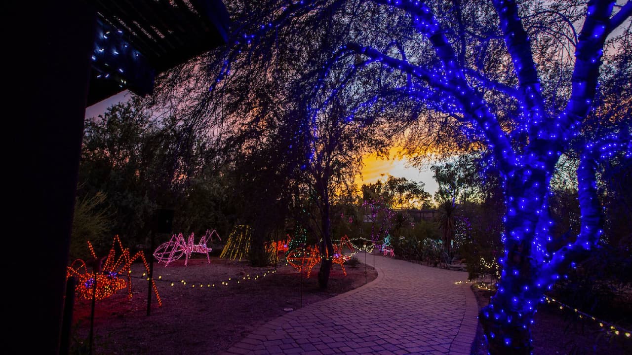 Nuevamente el zoológico de Phoenix se llena de hermosas luces para celebrar la época decembrina.
