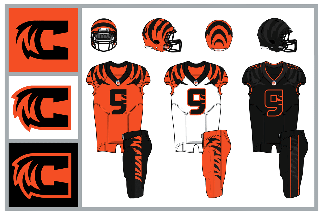 <b>AFC División Norte</b>
<br>Cincinnati Bengals