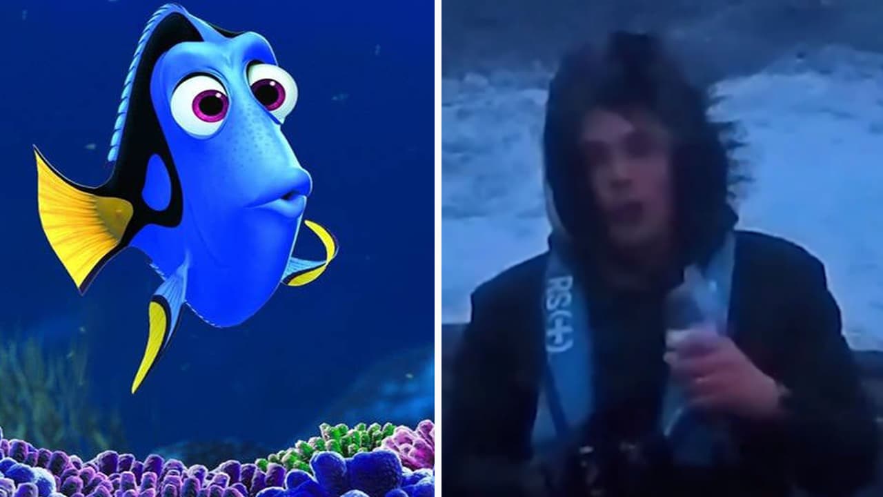 Reportero es 'atacado' por un pez en una transmisión en vivo y el Internet no para de reír: "Tremendo golpazo"