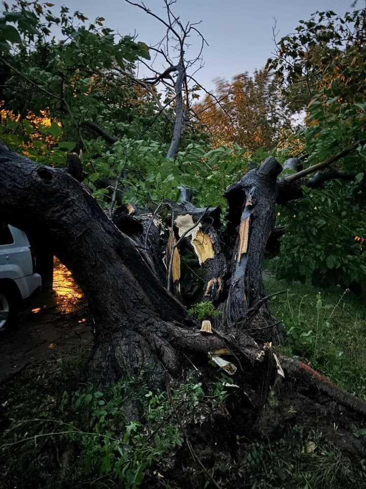 La mañana de este martes, había 
<b>más de 650,000 clientes sin electricidad según PowerOutage.us</b>; de ellos, más de la mitad estaban en el condado de Dallas. Oncor cifraba a los afectados en alrededor de 627,000 clientes.