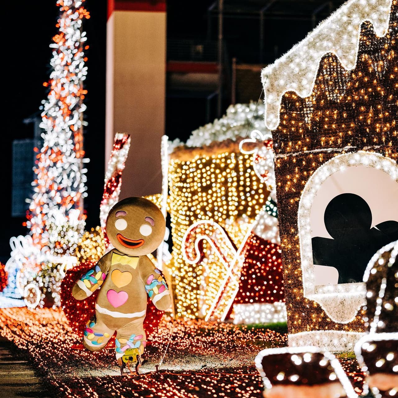 La experiencia en Peppermint Park se divide en cuatro paquetes de diferentes precios que se ajustan a tus necesidades y a las de tu familia.