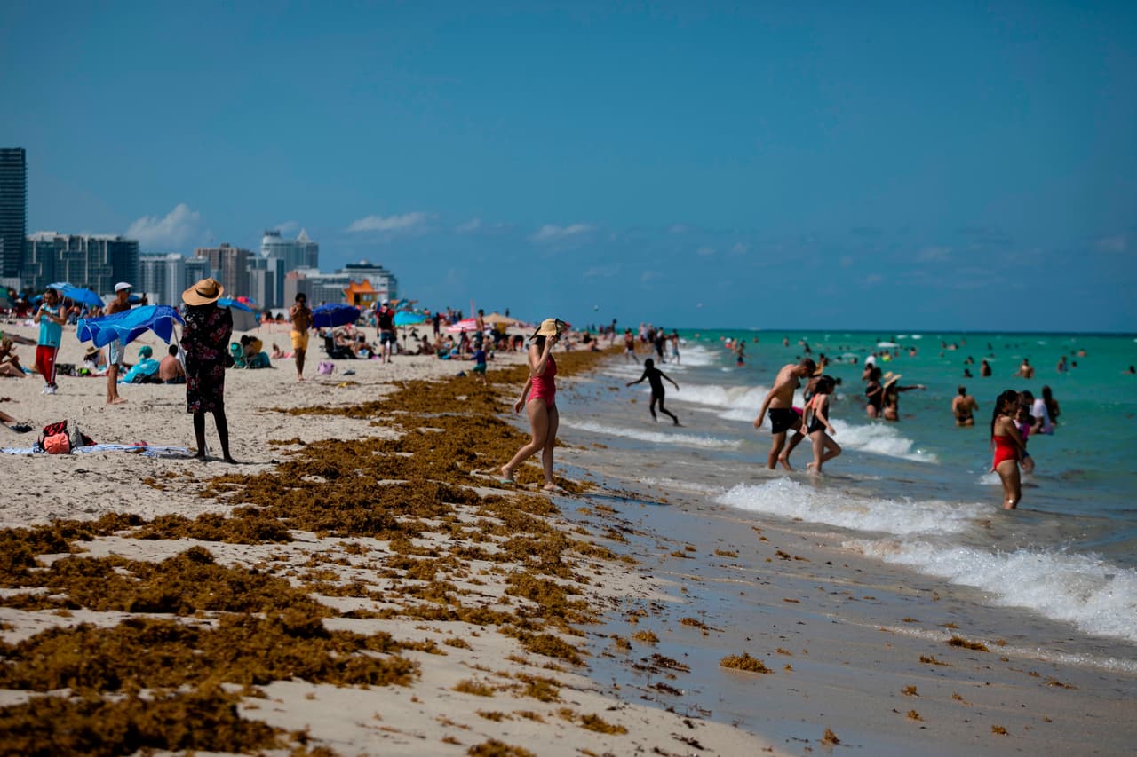 Además, las playas del condado Miami-Dade estarán cerradas desde el viernes 3 de julio hasta el martes 7 de julio.
<br>