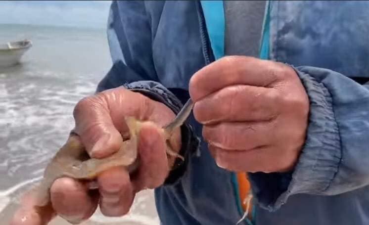 Los hechos no solo fueron rechazados por el alcalde de Huatabampo, sino también por el gobernador de Sonora, Alfonso Durazo.