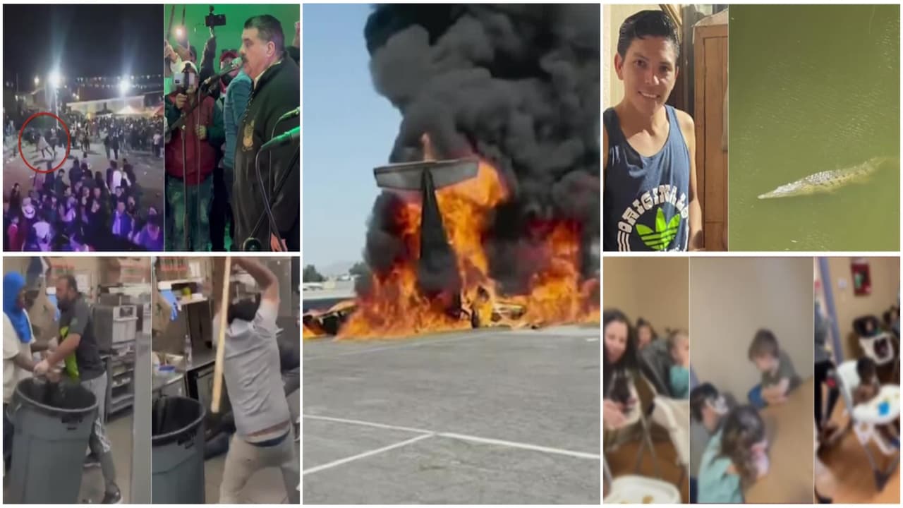 Los 5 casos de Impacto: Cocodrilo se pasea con el cadáver de un joven y empleados agarran a palazos a un ladrón en un comercio 