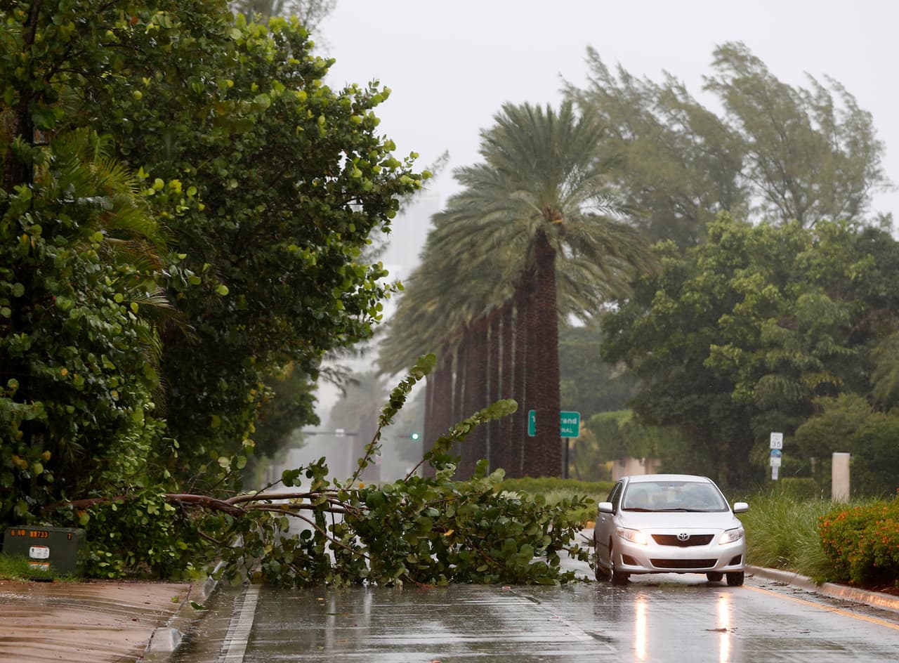 Incluso antes de su llegada oficial, Irma comenzó acausar daños en Florida. Aquí, un automóvil circulando al lado de un árbol derribado por los vientos del huracán Irma, este sábado.