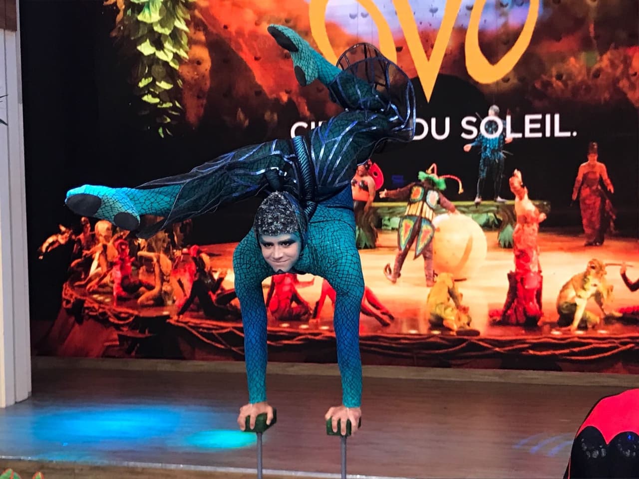 En vivo y en exclusiva para Despierta Améria fuimos testigos de la magia de 'OVO', el nuevo espectáculo del Cirque du Soleil.