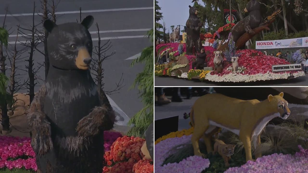 Un homenaje a la vida silvestre se lleva el Trofeo Isabella Coleman en el Desfile de las Rosas 2023